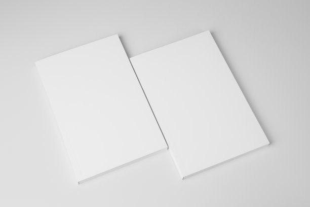 mockup
