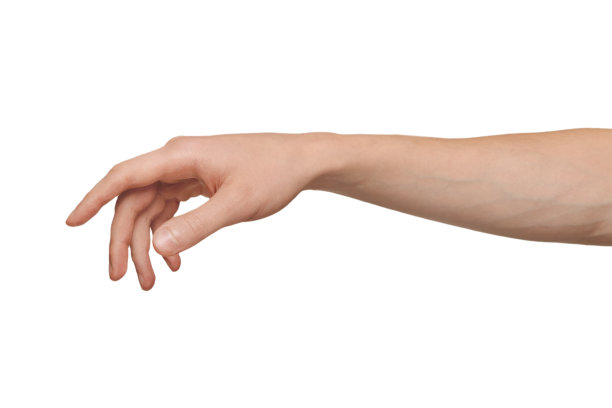 arms