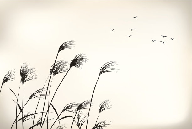 reed