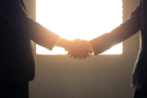 同意,握手,合伙