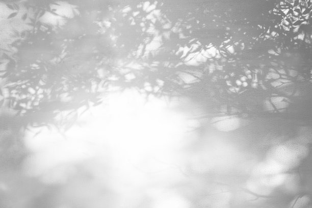 shadow
