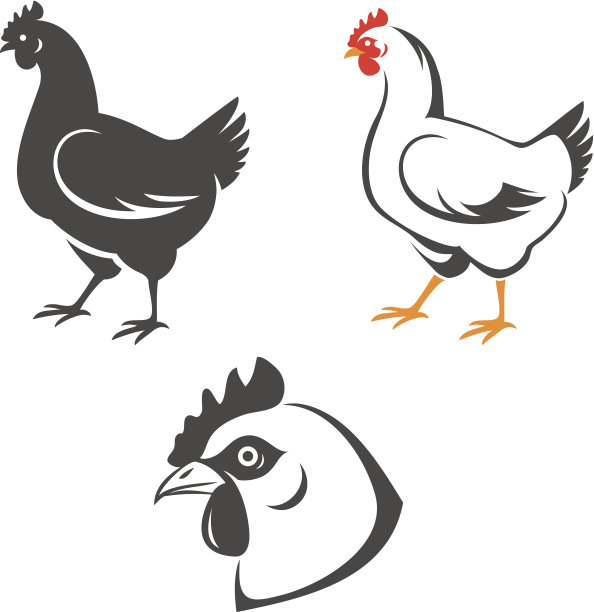 hen