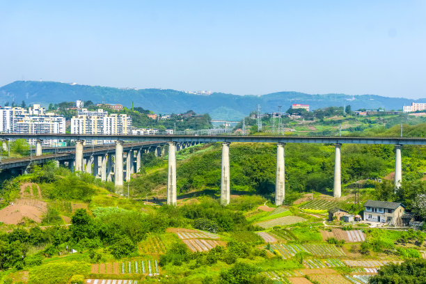 贵州背景板