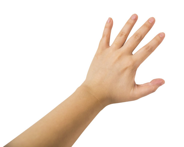 palm