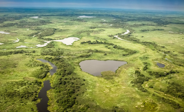 wetland