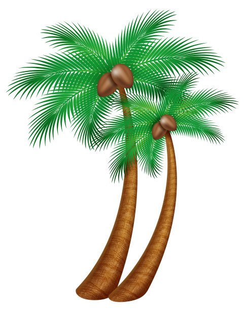 垂直画幅,正面视角,留白