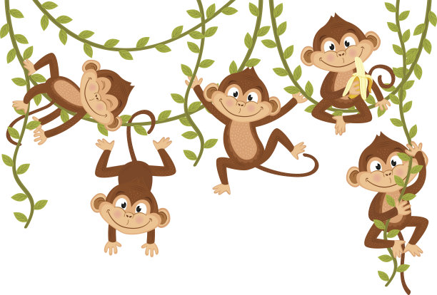 monkey