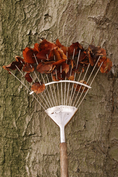 rake