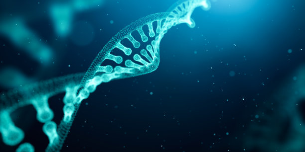 bio