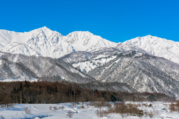 小白马