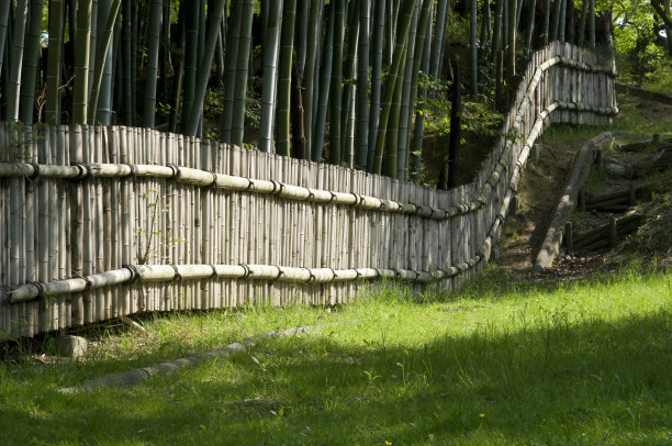 绿竹林竹林围栏