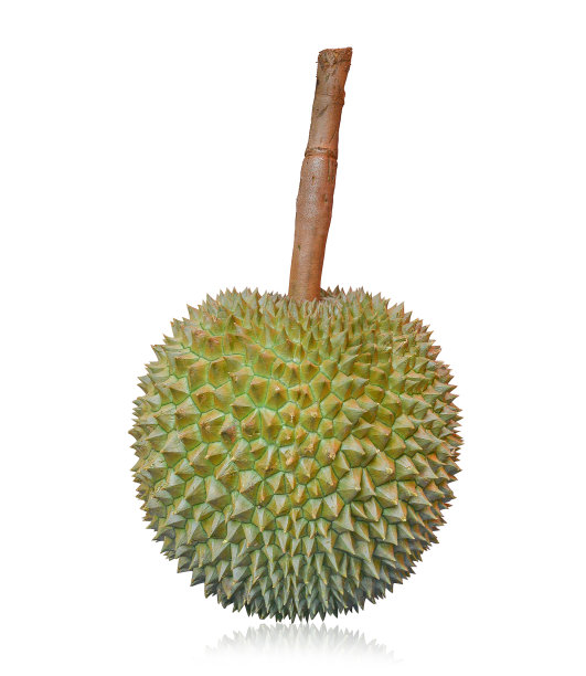 durian