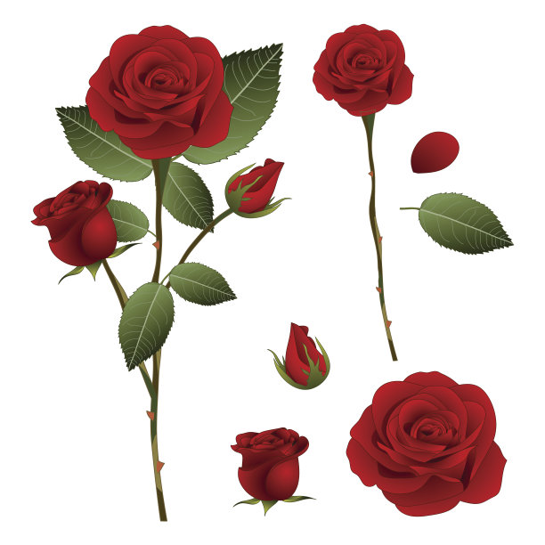 roses
