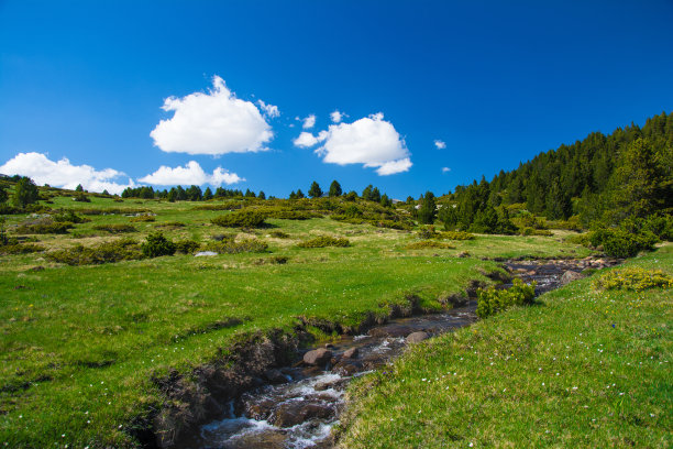 stream