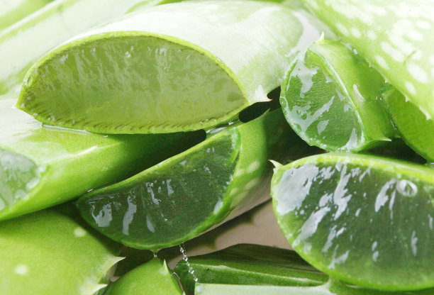 aloe