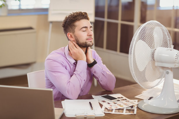 fan