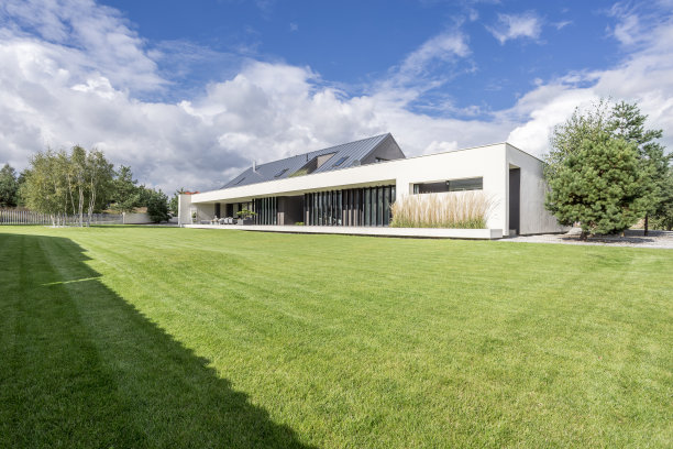 contemporary