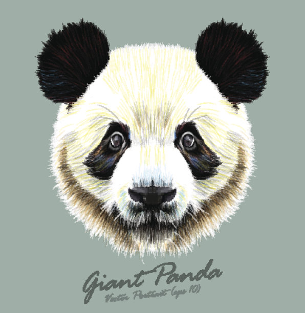 熊猫形象设计