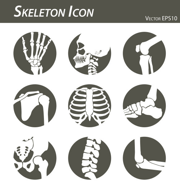 bone