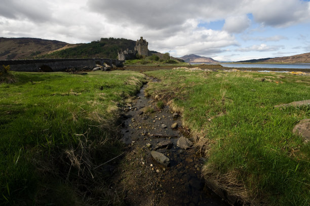 donan