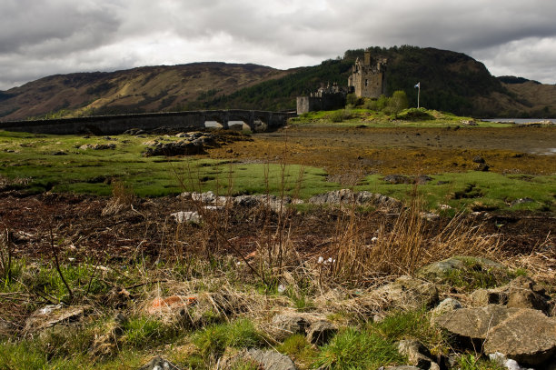 donan