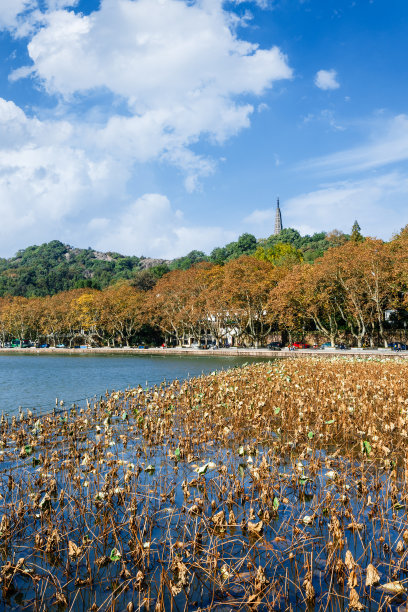 西湖群山美景