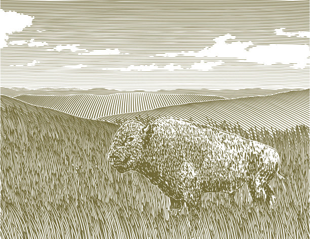 农田版画