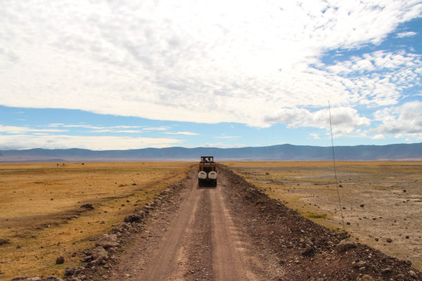 ngorongoro