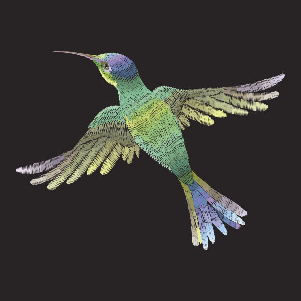 embroidery