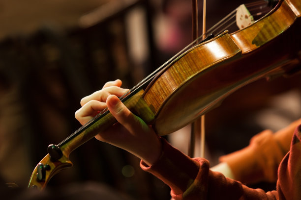 violin