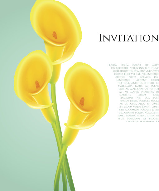 calla