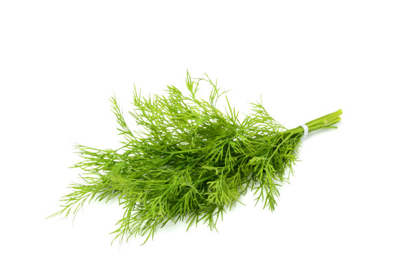 dill