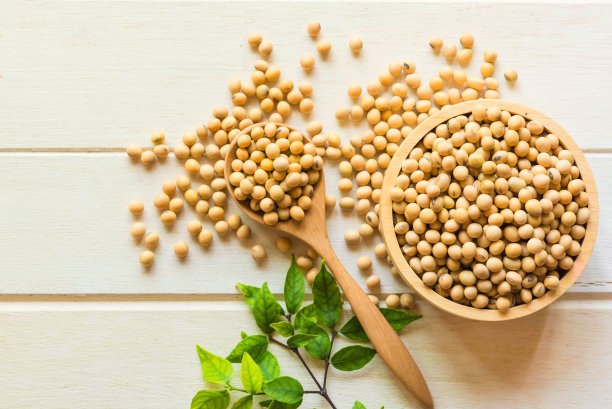 bean