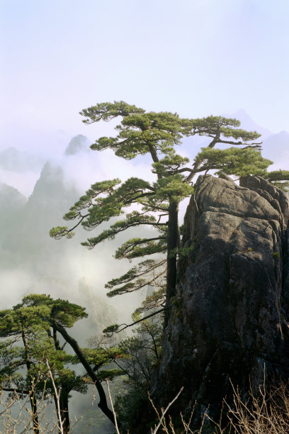 云雾中的黄山风景