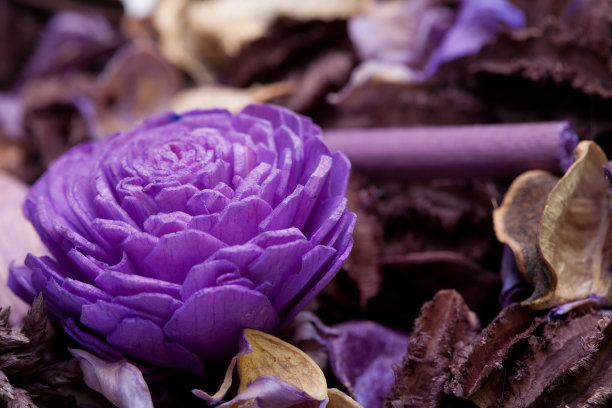 自然_香薰罐_花