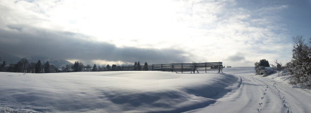 雪地脚印车印