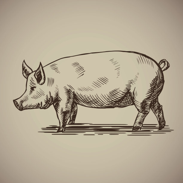猪画画