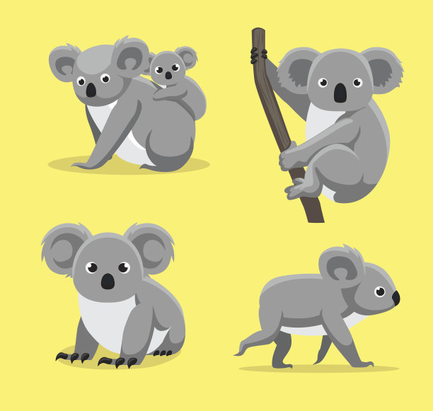 koala