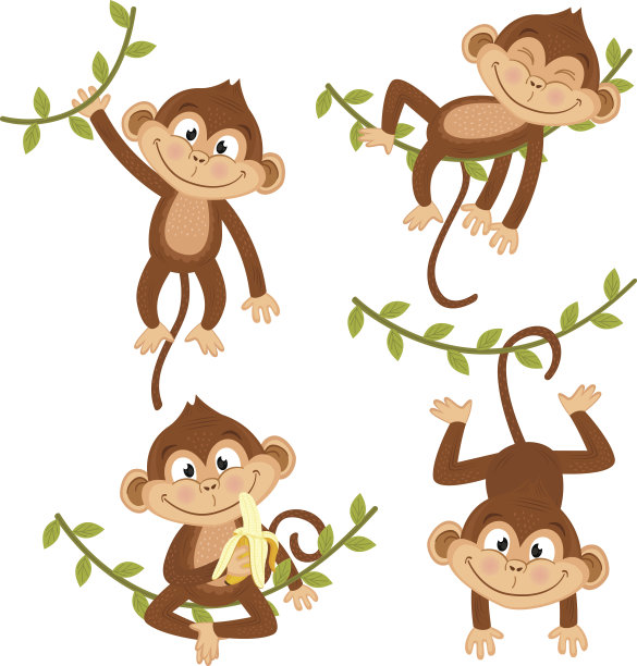 monkey