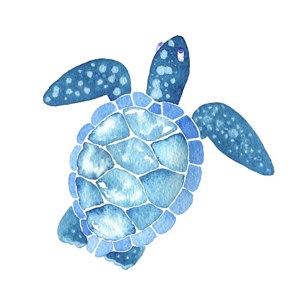 青蟹插画
