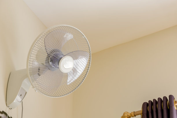 fan