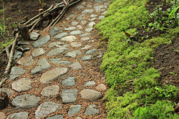 pathway