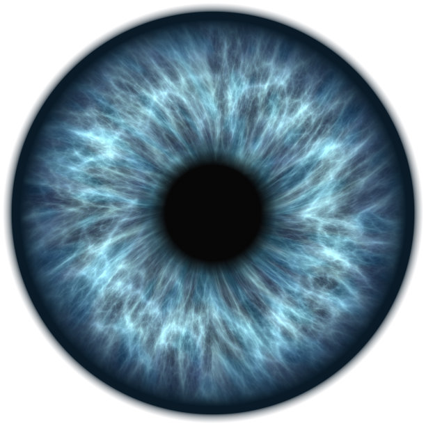 retina