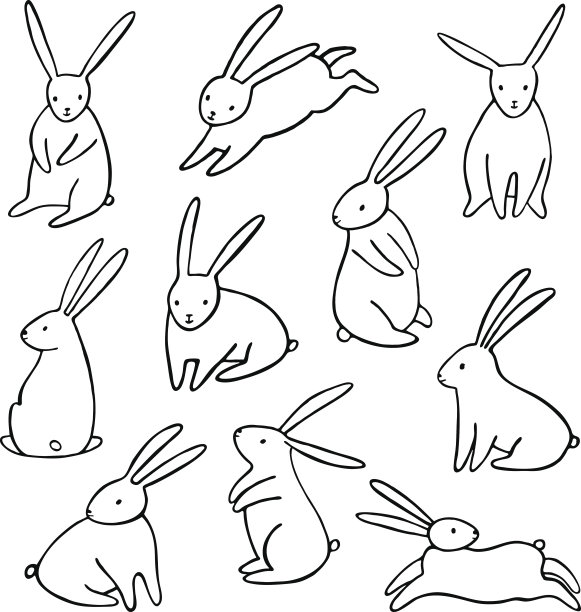 rabbit