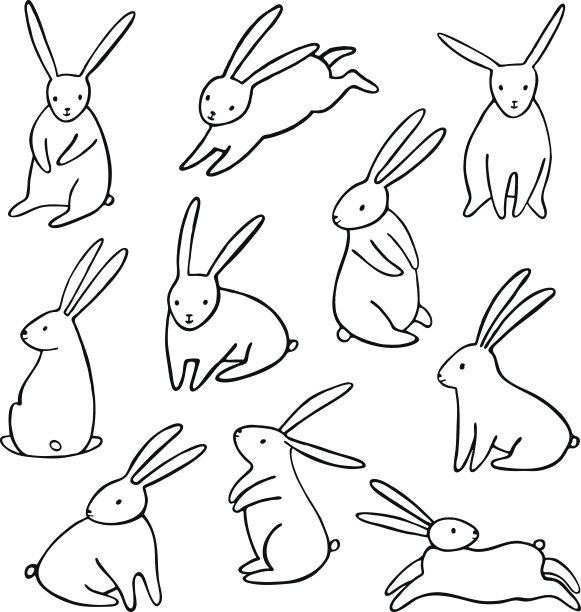 兔子线条