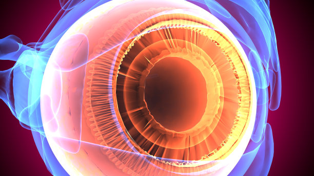 retina