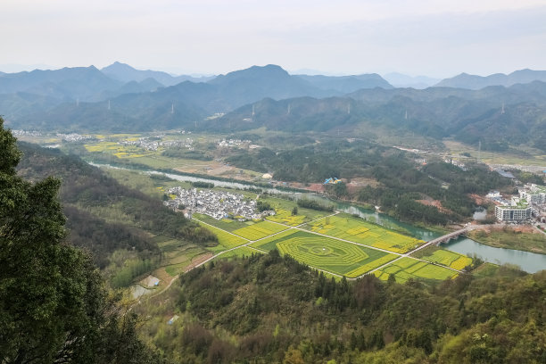 皖南油菜花