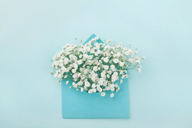 envelope