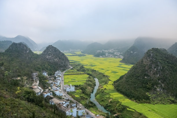 云南油菜花