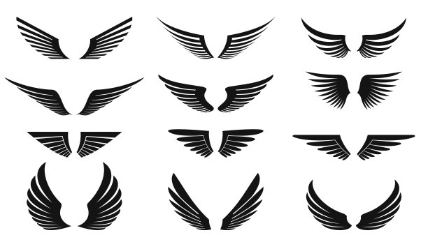 wings